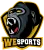 2 VS 2 WESPORTS CUP logo