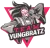 Team YuNgBrAtZ  logo