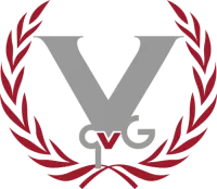 Team Victory by qvG logo