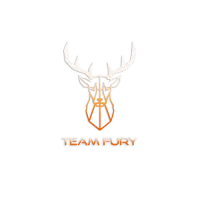 Team FurY logo