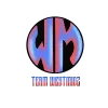 Team wM [inactive] logo