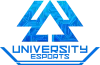 404 University Esport Dresden Pink logo