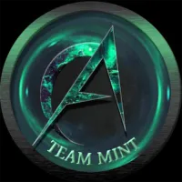 AoA Team Mint logo