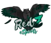 RedZ Project Delta logo