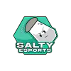 Salty eSports logo