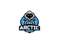 Arctic Esports logo