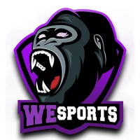 WeSports Rising logo