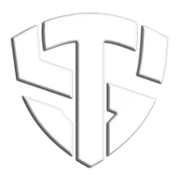 SAINT 53 logo