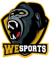 WeSports HC logo