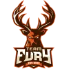 Team FurY logo