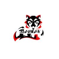 Bauman Esports 1 logo