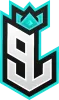 9Lies Esports logo