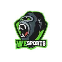 WeS Reverse Lan logo