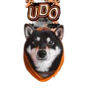 UPPERDOGS logo