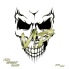 V!P* LAN TEAM logo