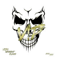 V!P* LAN TEAM logo