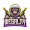 HYPERION LAN logo