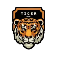 TIGER E-SPORTS logo