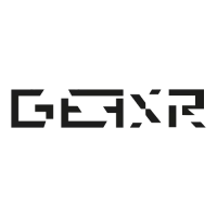 GeexR Esports logo