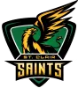 St. Clair Saints logo