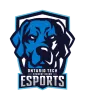 OTSU Esports logo