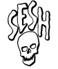 TeamSESH logo