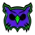 Blind Owls logo