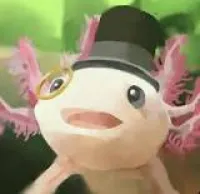 The_Axolotll's profile picture