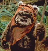 wicket's profile picture